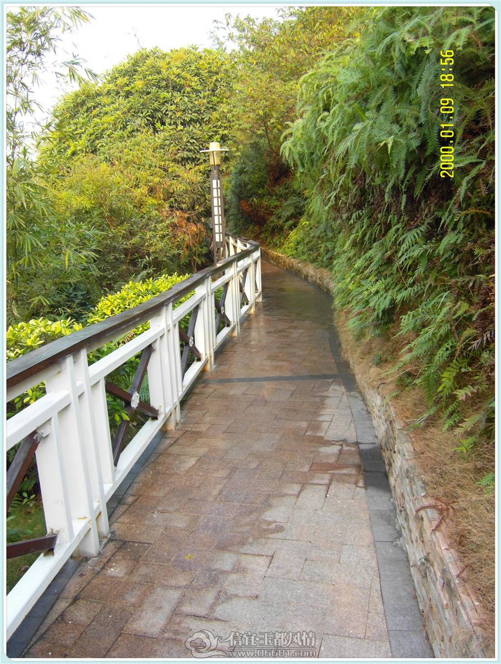 SDC10716.jpg