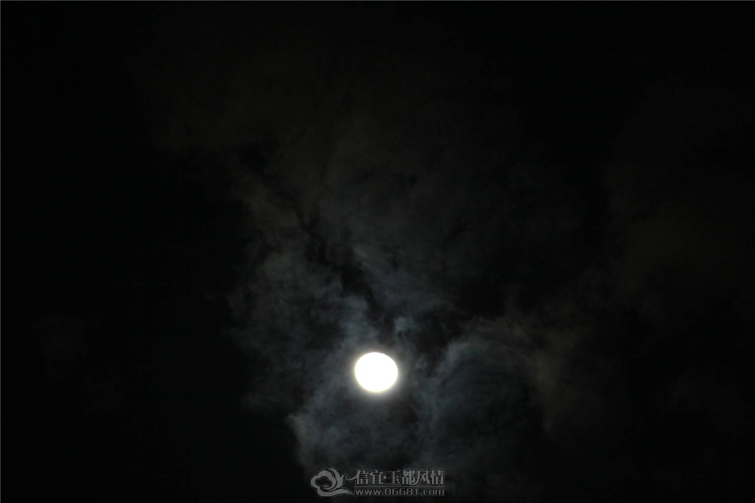 IMG_5590.jpg