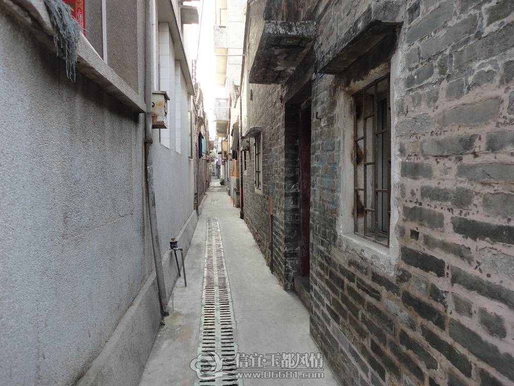 DSC02883.JPG
