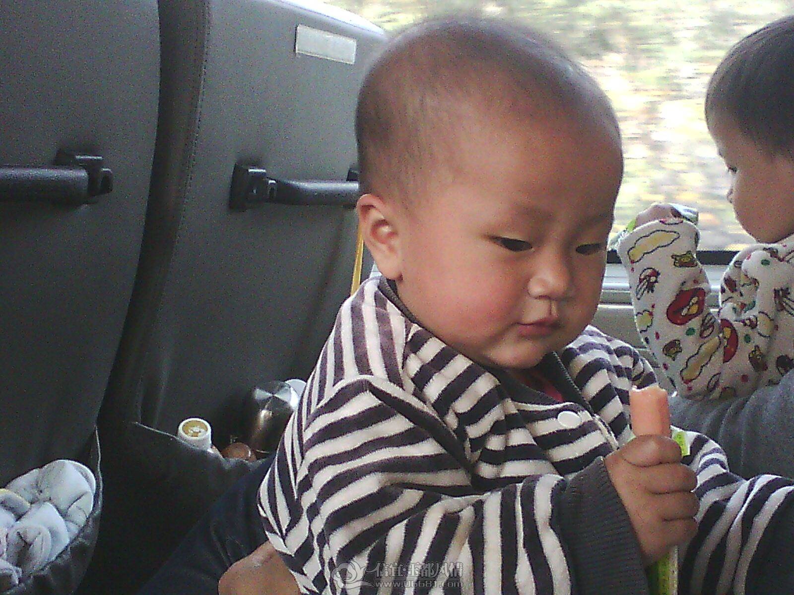 IMG0933A.jpg