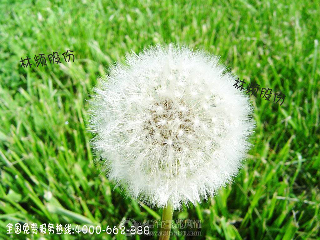 4610b912c8fcc3ce2d2a20759245d688d53f208a ����.jpg
