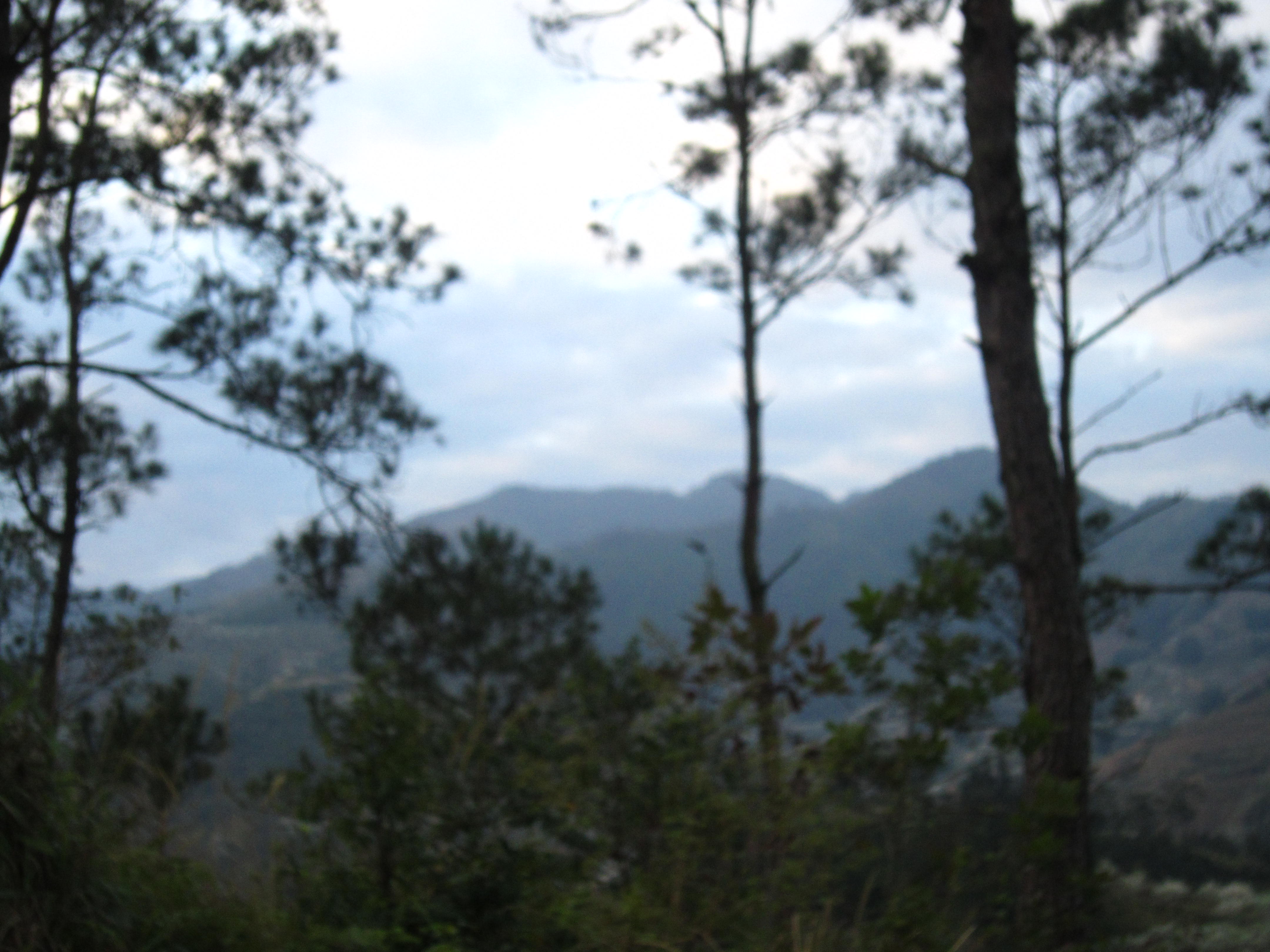 IMG_1549.jpg