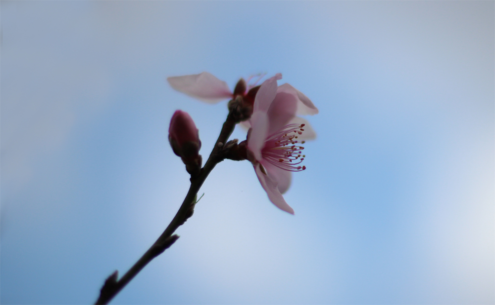 IMG_7176.JPG