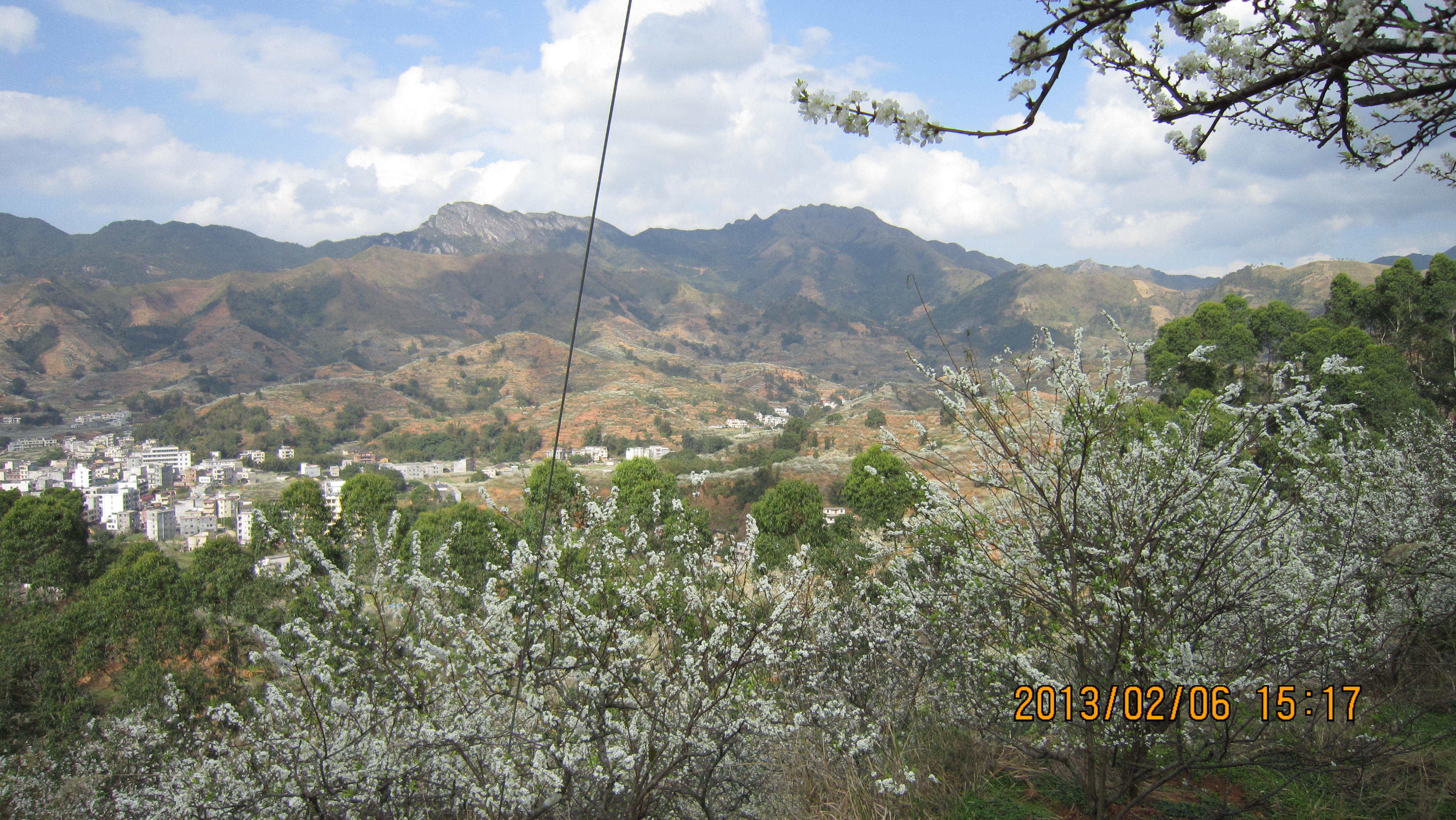 IMG_4528.JPG