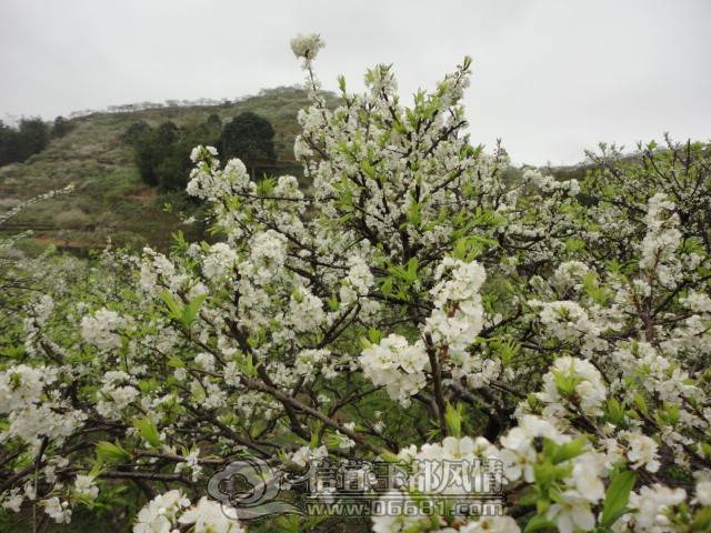 DSC00274.JPG
