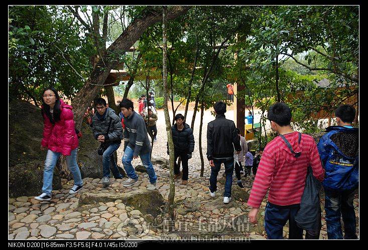 nEO_IMG_DSC_6750.jpg