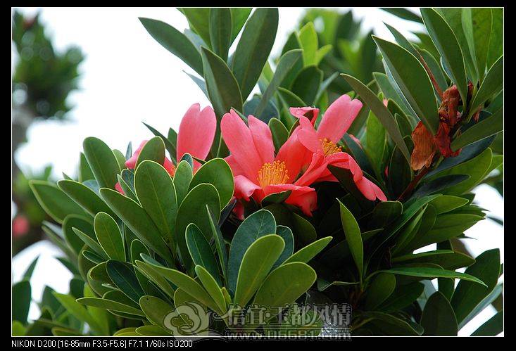 nEO_IMG_DSC_6762.jpg