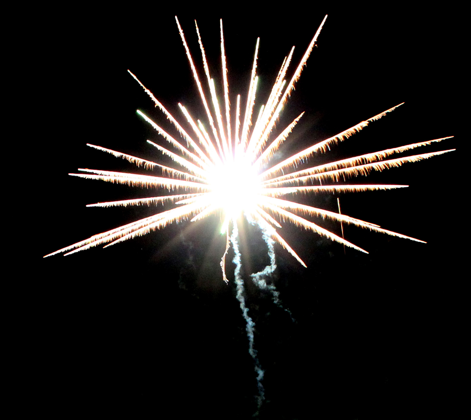 IMG_7418.JPG