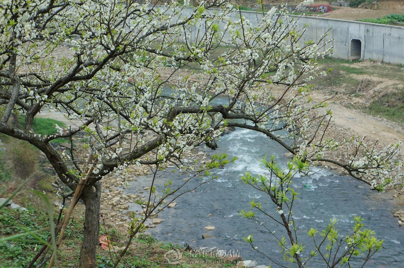 nEO_IMG_DSC05373.jpg