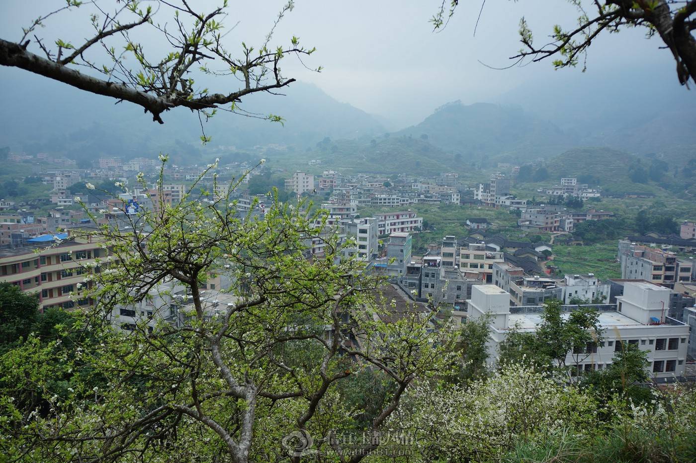 nEO_IMG_DSC05386.jpg