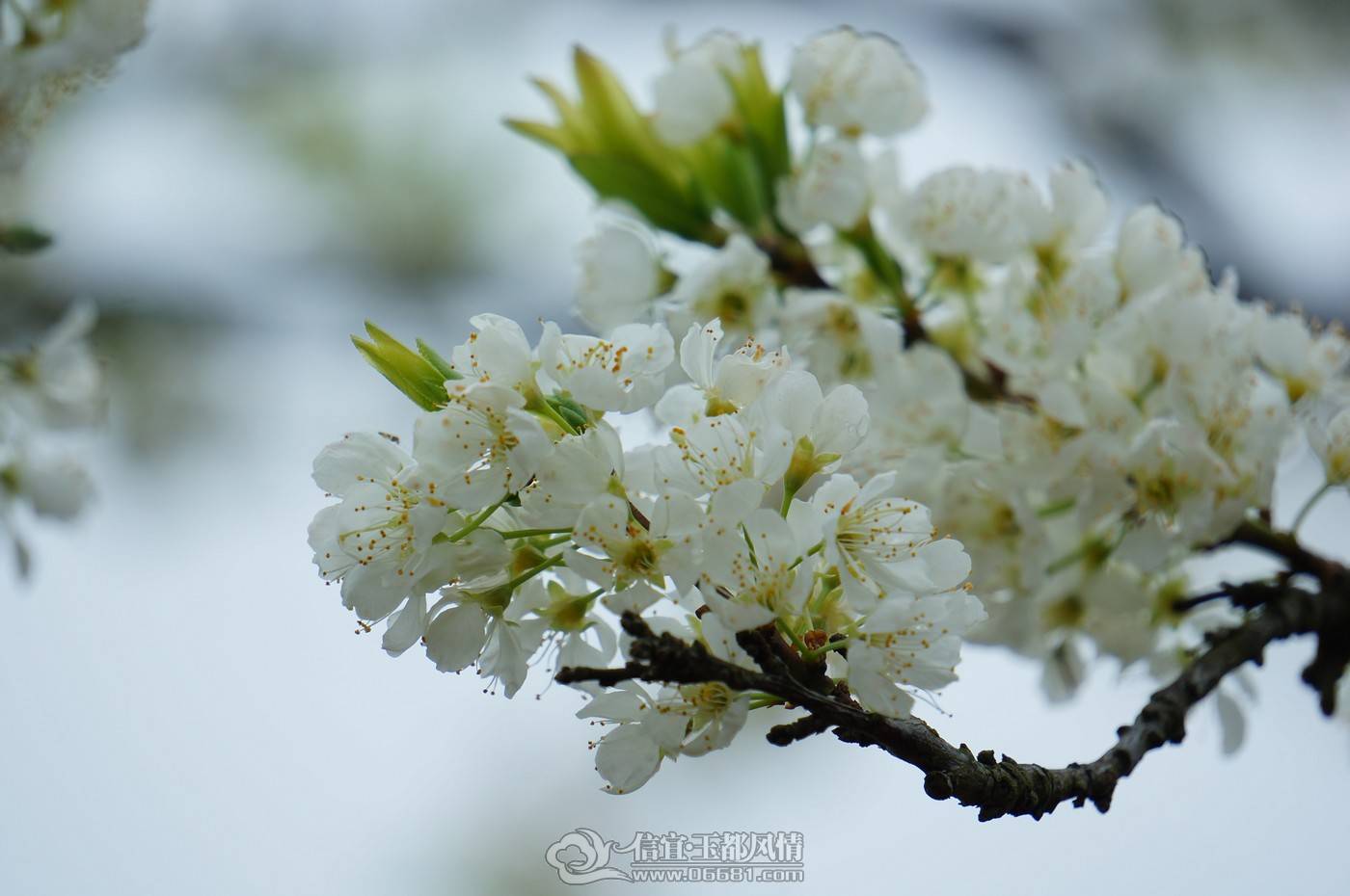 nEO_IMG_DSC05420.jpg