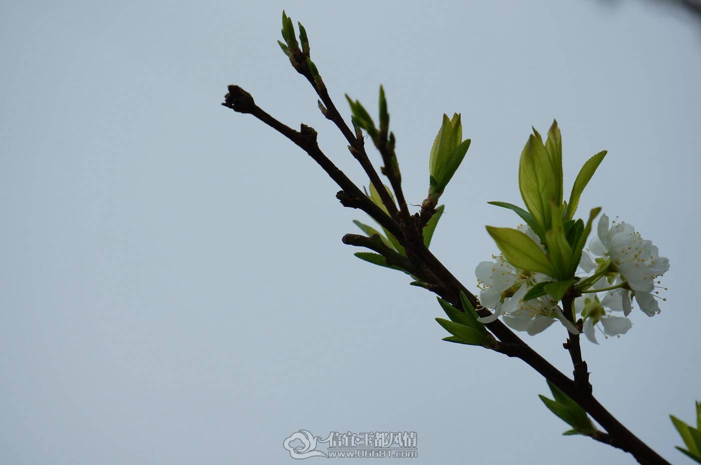 nEO_IMG_DSC05430.jpg