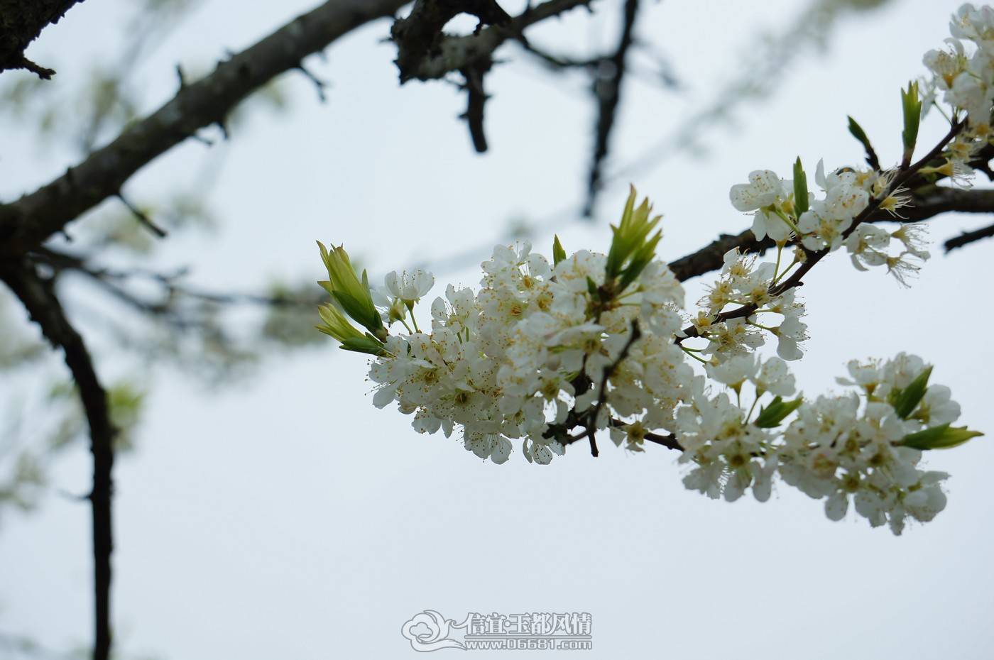 nEO_IMG_DSC05431.jpg