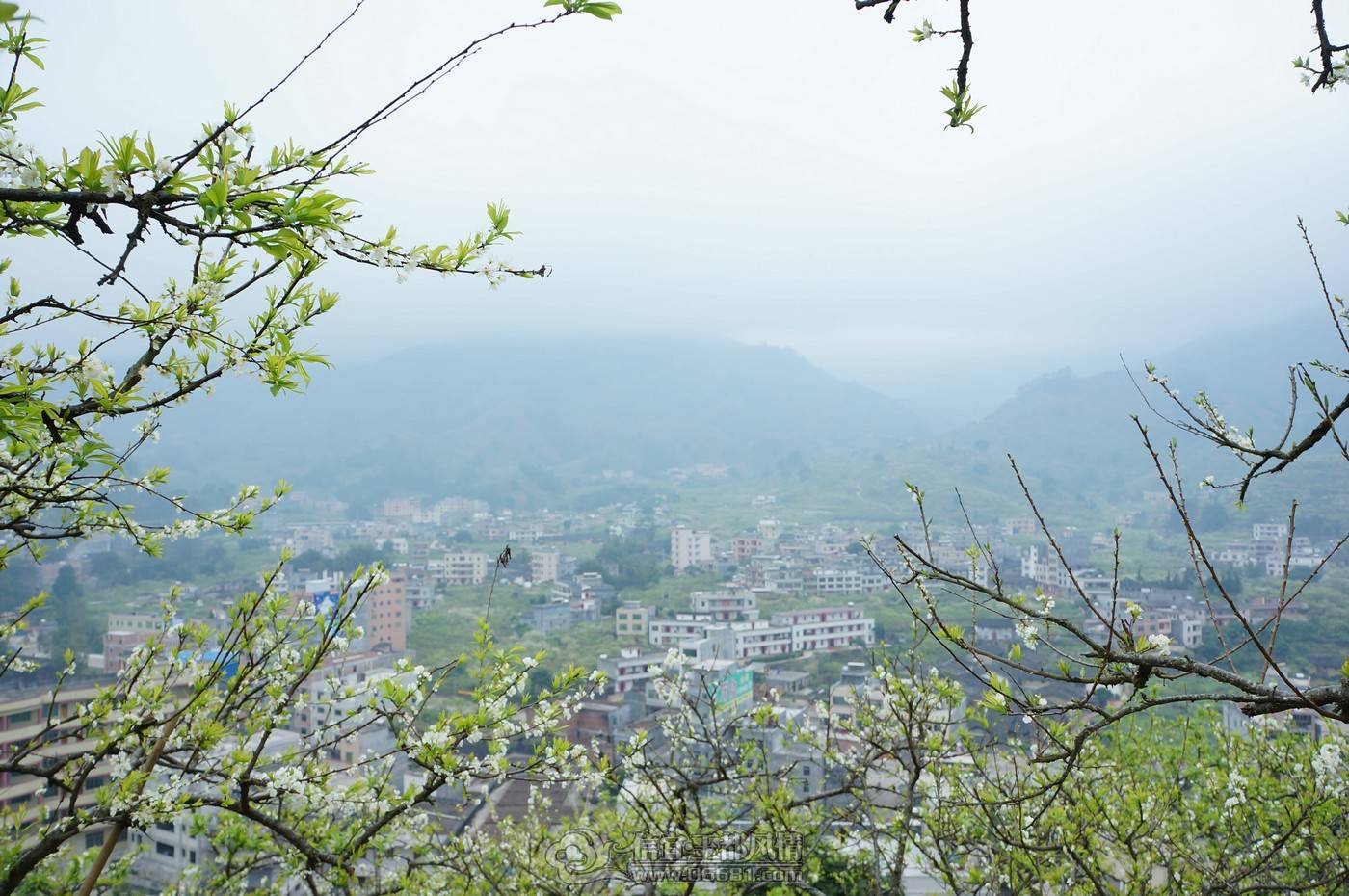 nEO_IMG_DSC05442.jpg