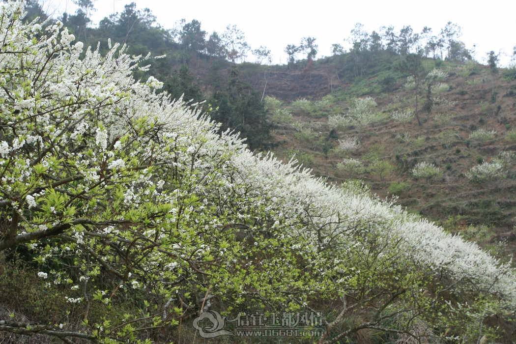 IMG_3007.JPG