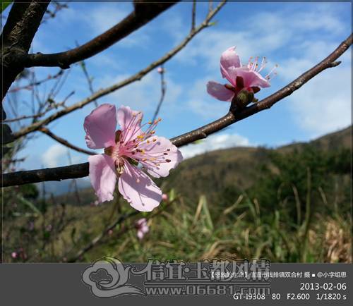 ŭ�ŵ�����20130206_����.jpg