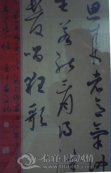 DSC02450.JPG