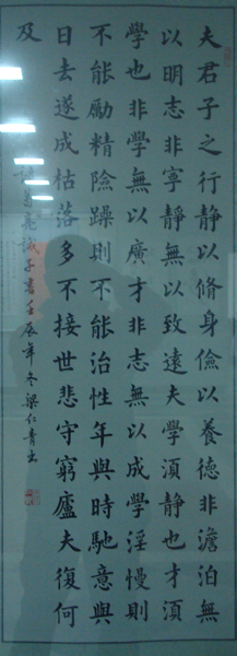 DSC02454.JPG