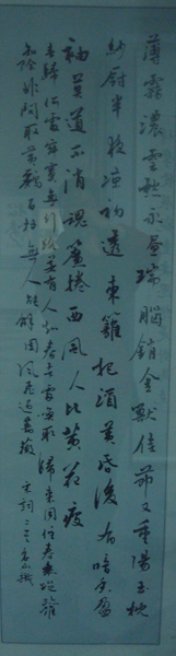 DSC02461.JPG