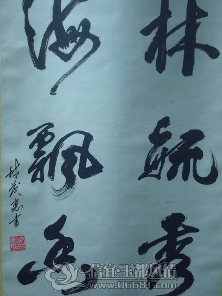 DSC02339.JPG