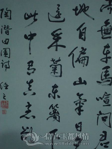 DSC02356.JPG