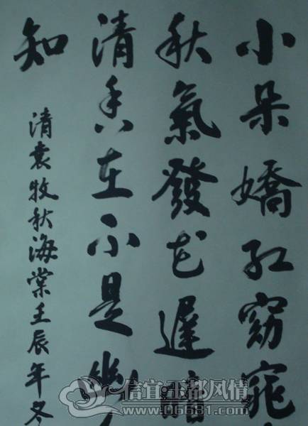 DSC02349.JPG