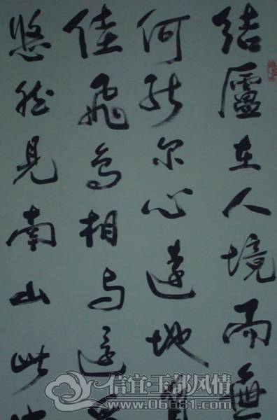 DSC02355.JPG