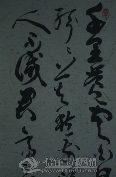 DSC02365.JPG