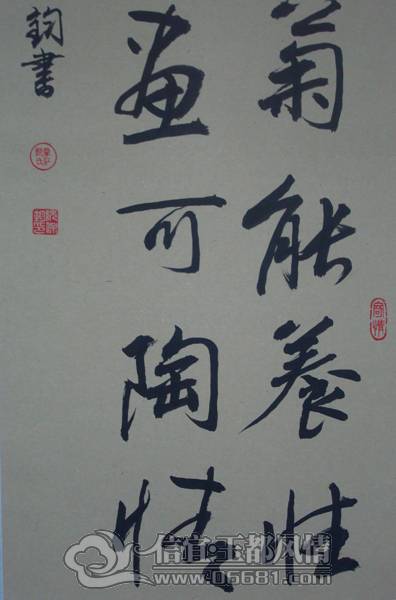 DSC02374.JPG