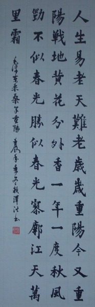 DSC02380.JPG