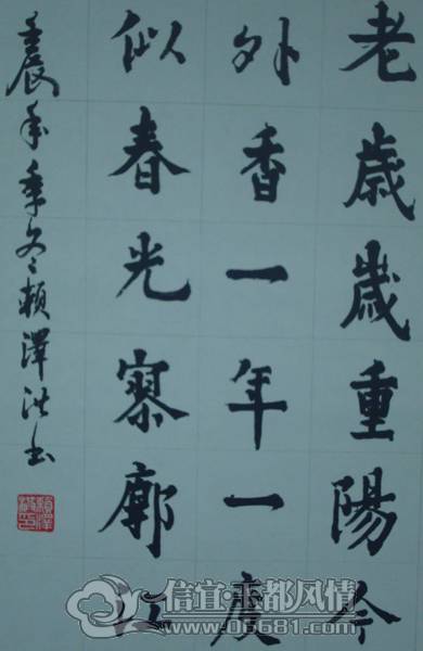 DSC02382.JPG