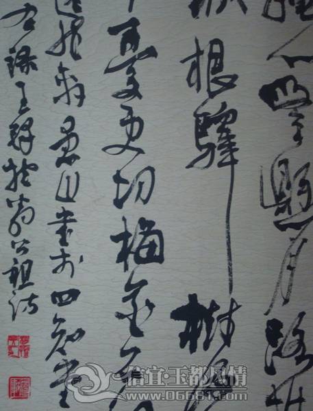 DSC02407.JPG