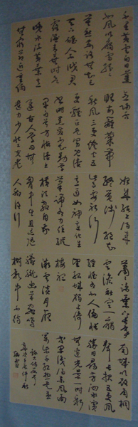 DSC02412.JPG