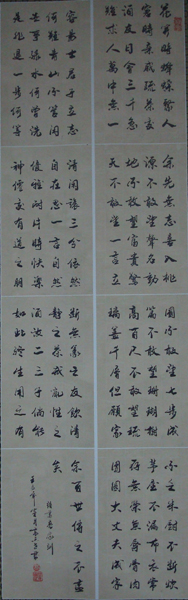 DSC02417.JPG