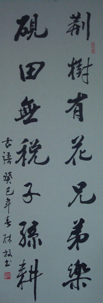 DSC02424.JPG