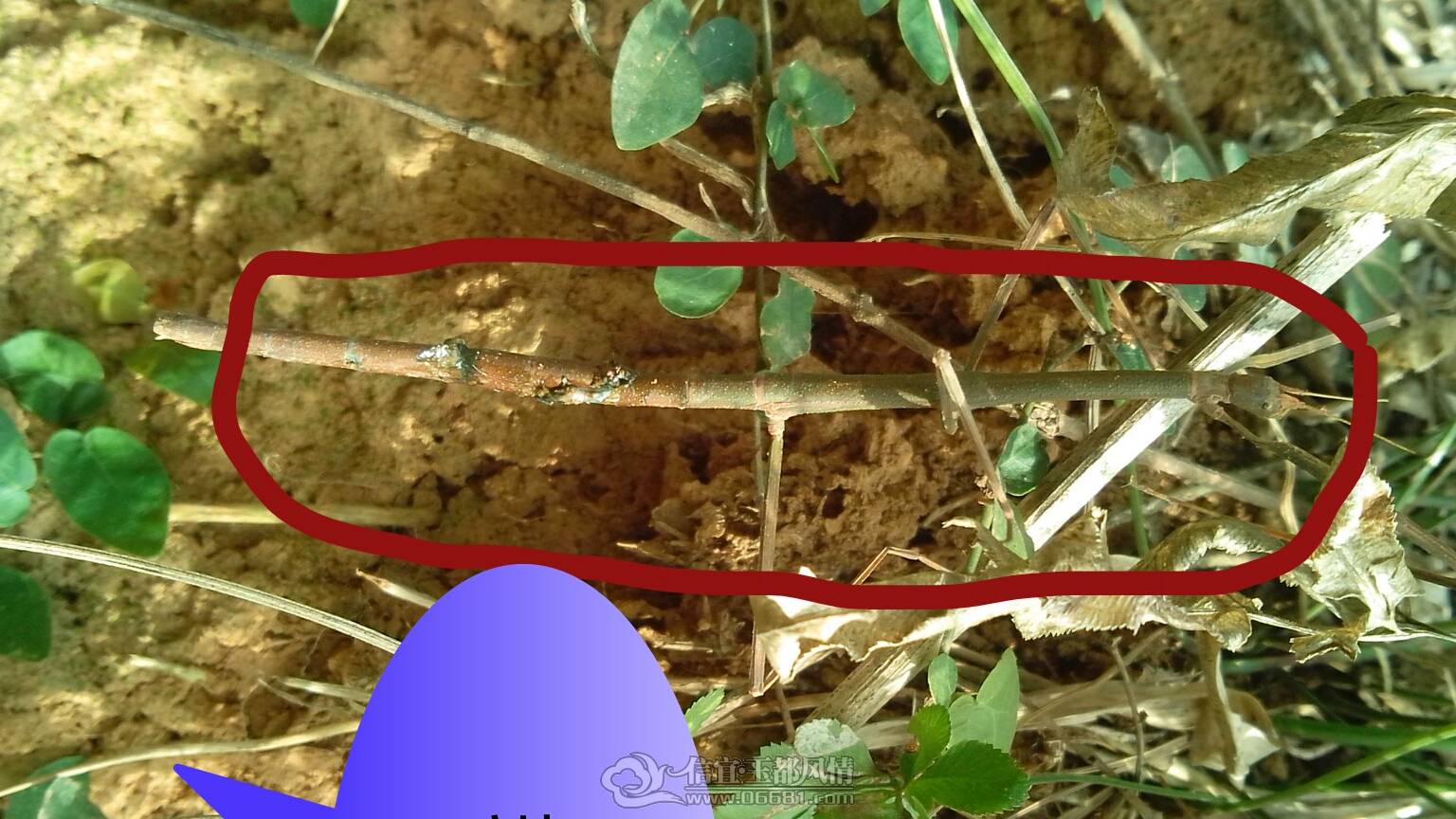 PicsArt_1361159830435.jpg