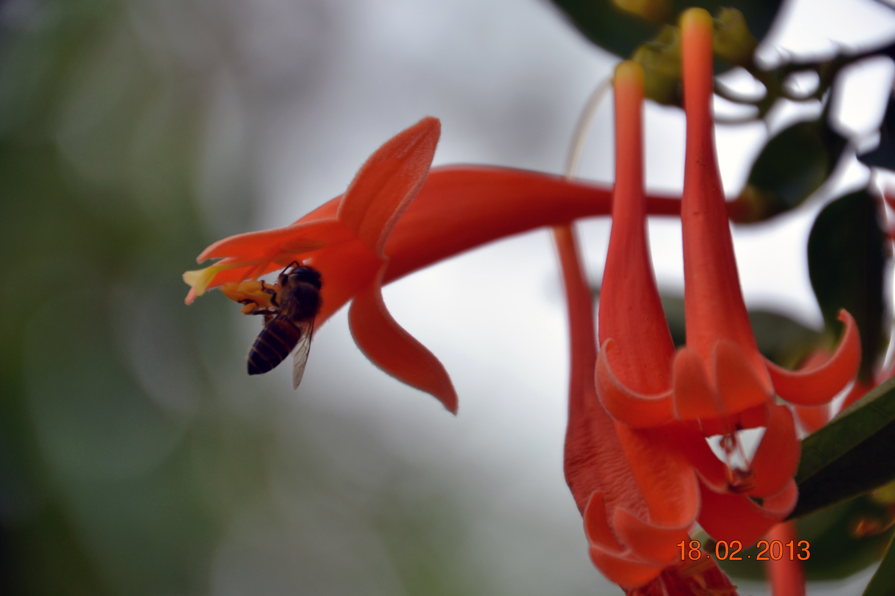 DSC_0580A.jpg