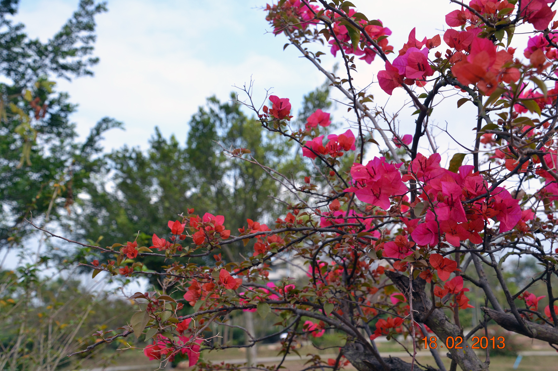 DSC_1691A.jpg