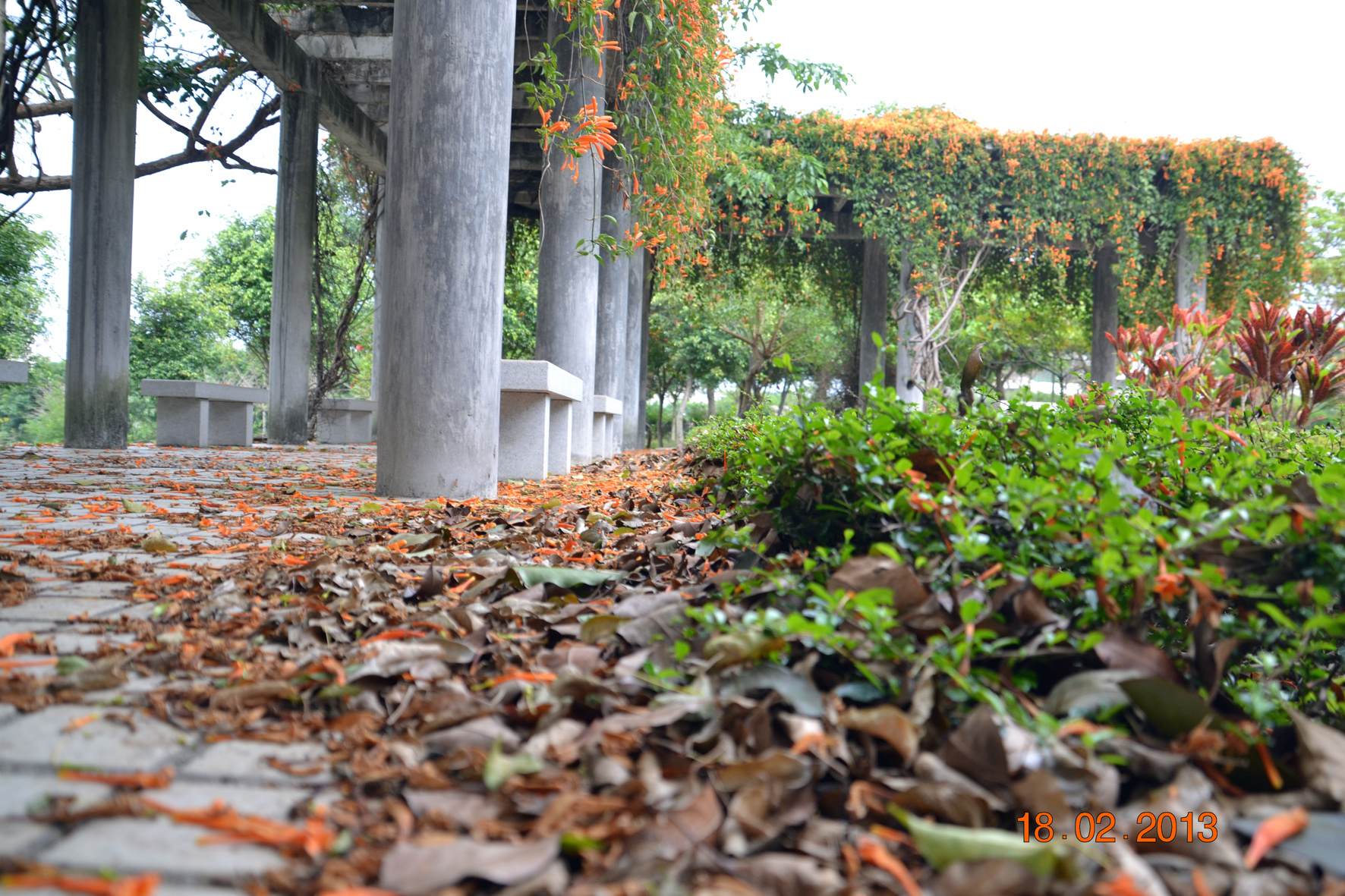 DSC_0584A.jpg