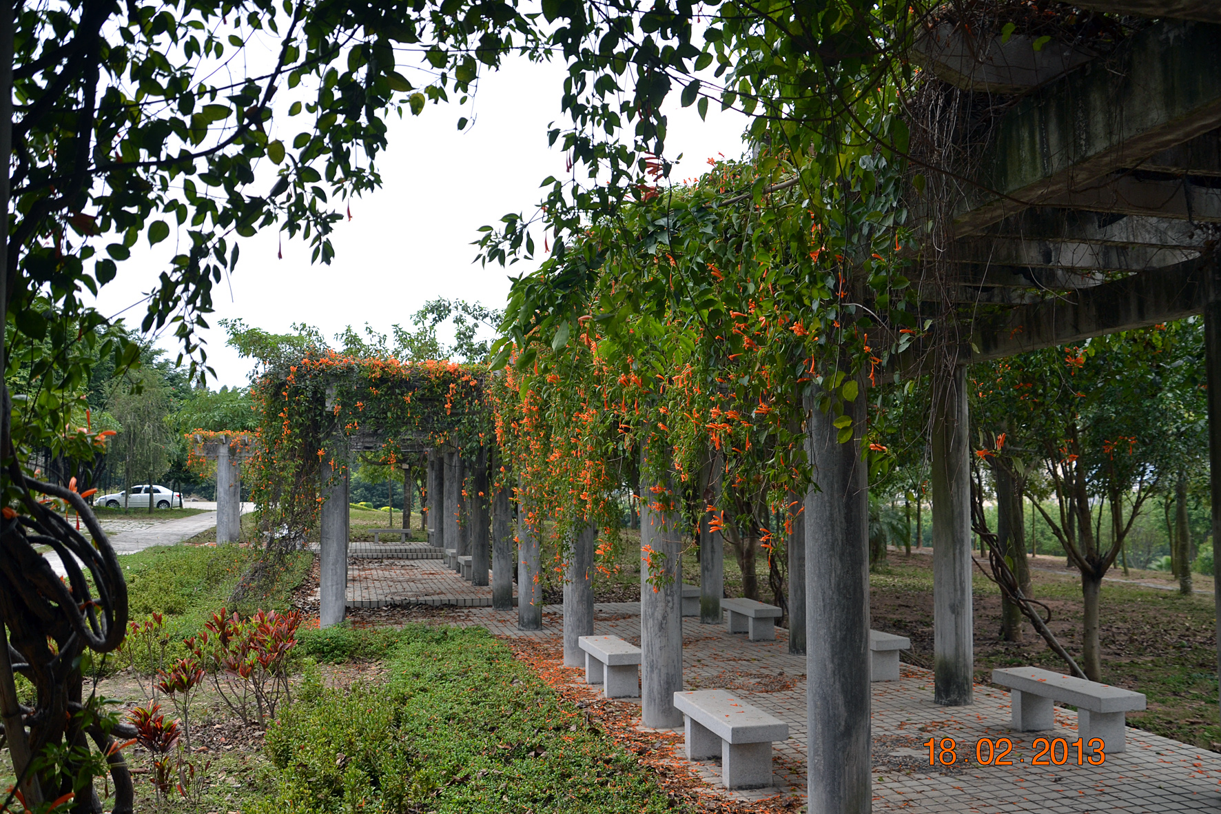 DSC_0596A.jpg