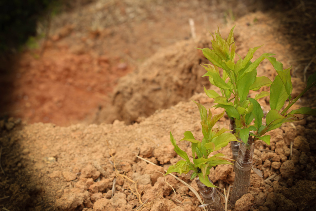 IMG_0670.jpg
