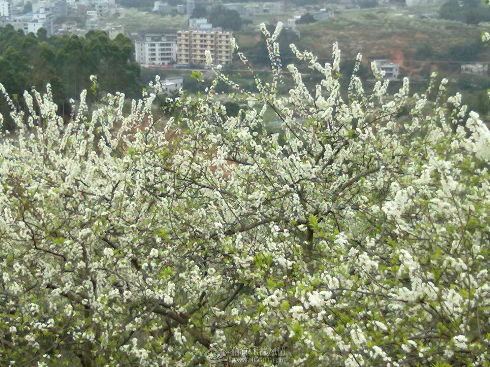 201302122202.jpg