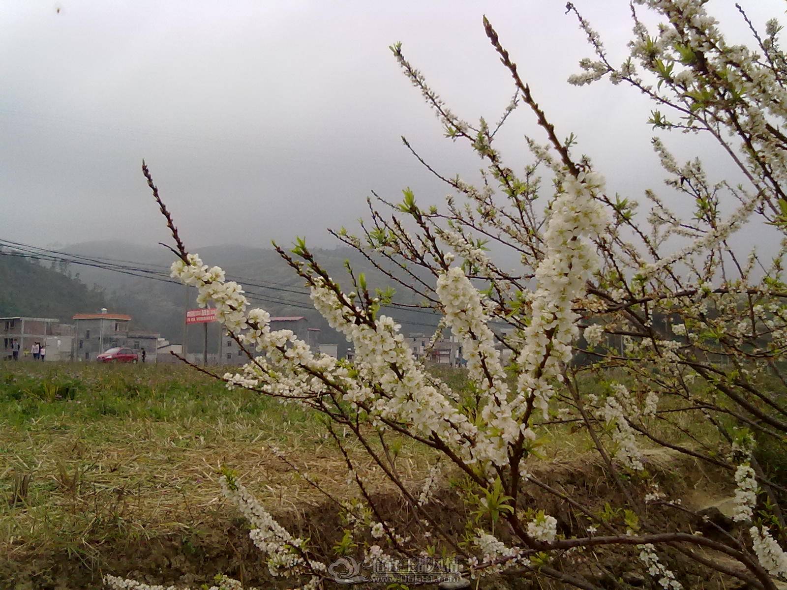 201302122163.jpg