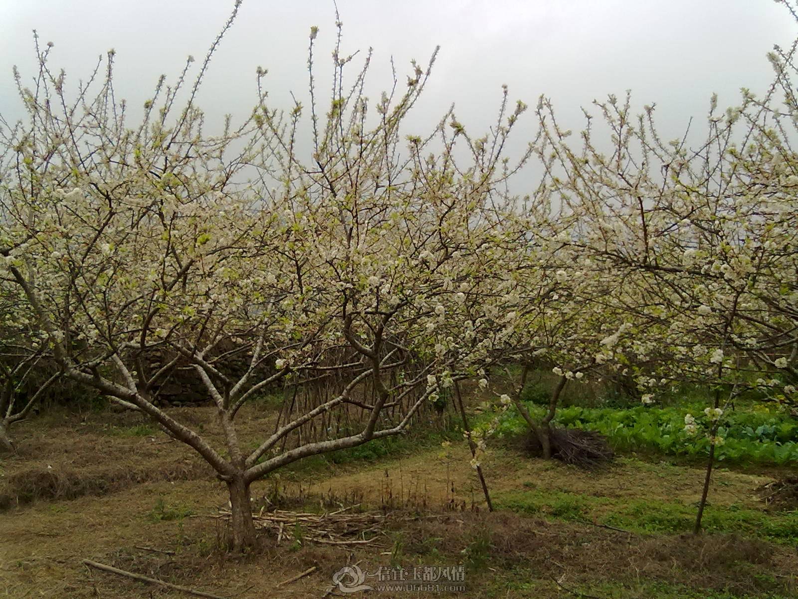 201302122165.jpg
