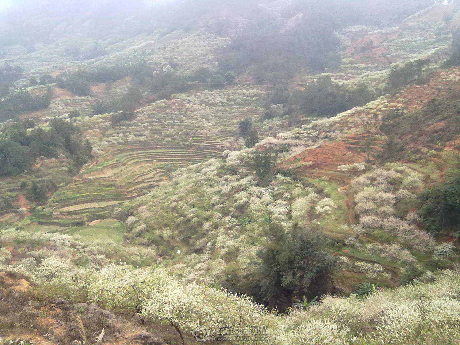 201302122166.jpg