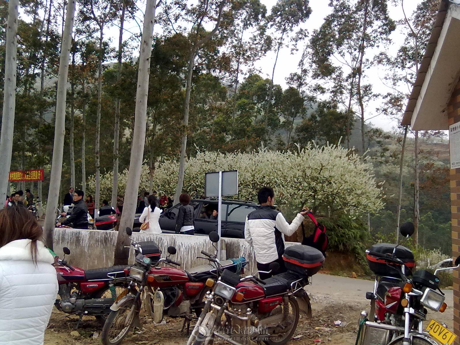 201302122168.jpg