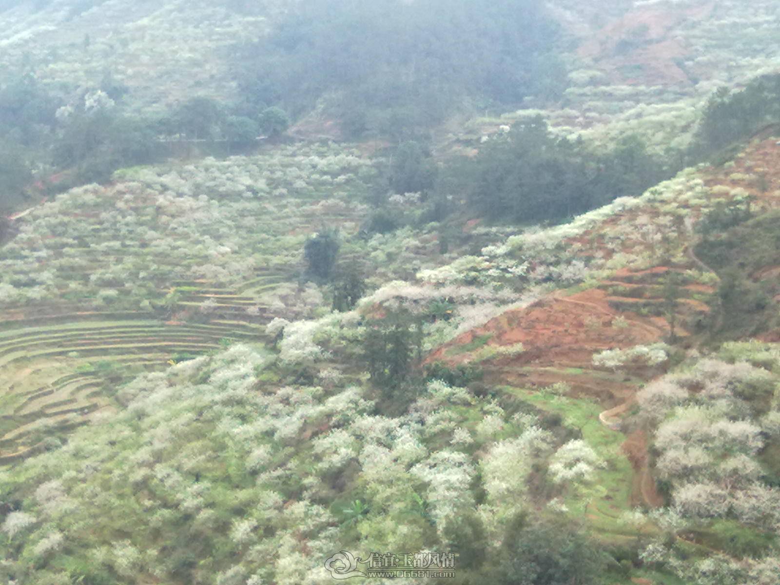 201302122170.jpg