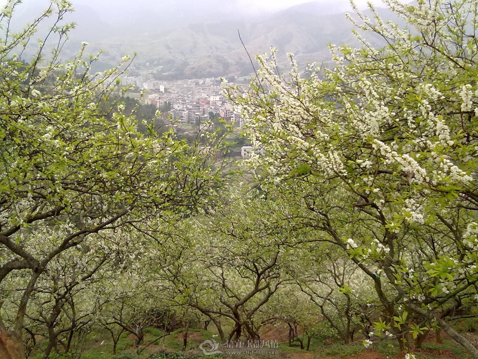 201302122172.jpg