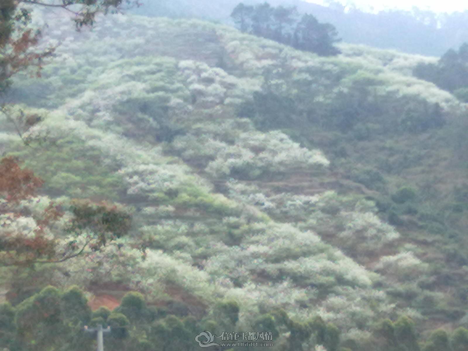 201302122175.jpg