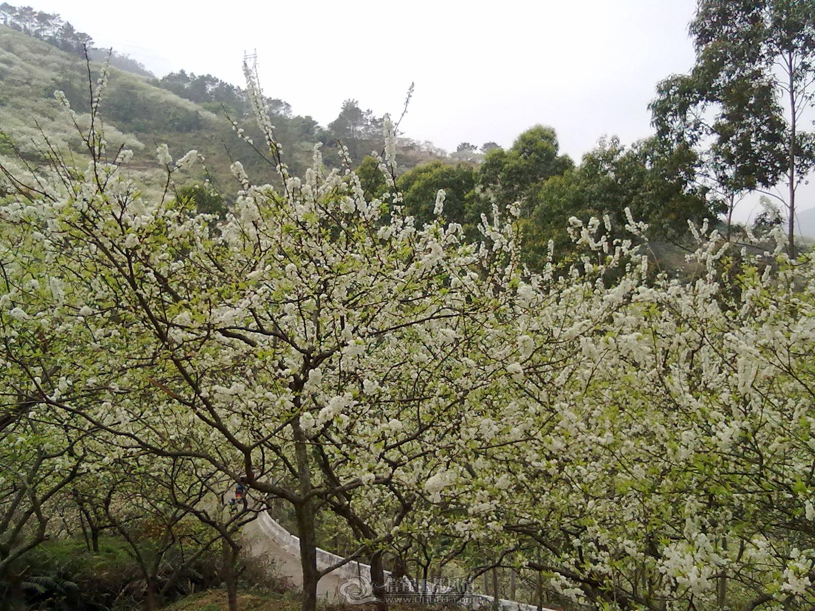 201302122176.jpg